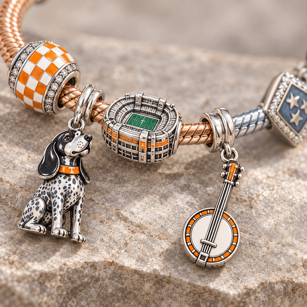 TVF Silver Charm Bracelet Set PTKL