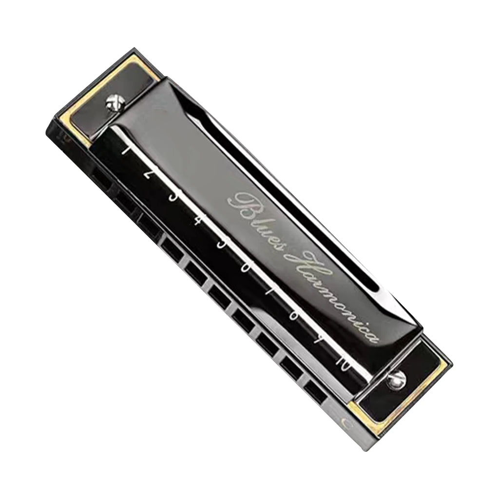 Brand New Stainless Steel Blues Harmonica French Harp Mouth Organ Phosphor Bronze 10 Hole Key of C Kids Instrument